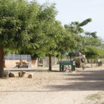 Agrovila do assentamento Safra
