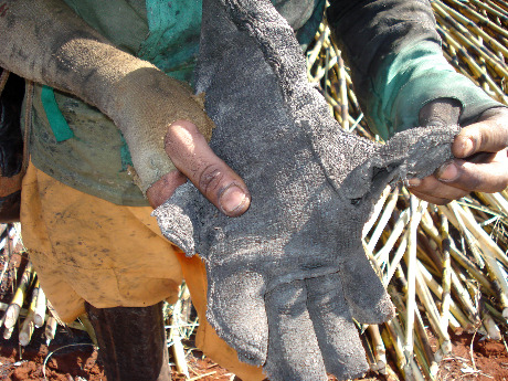Trabalhador resgatado em usina em 2010 exibe luva rasgada. Foto: Divulgação/MPT