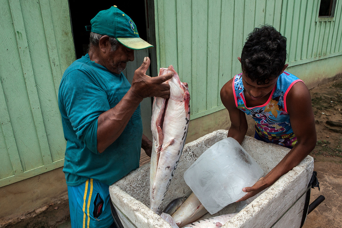 Peixe é a base da alimentação e da economia dos beiradeiros, que fazem comércio precário. Foto: Lilo Clareto/Reporter Brasil
