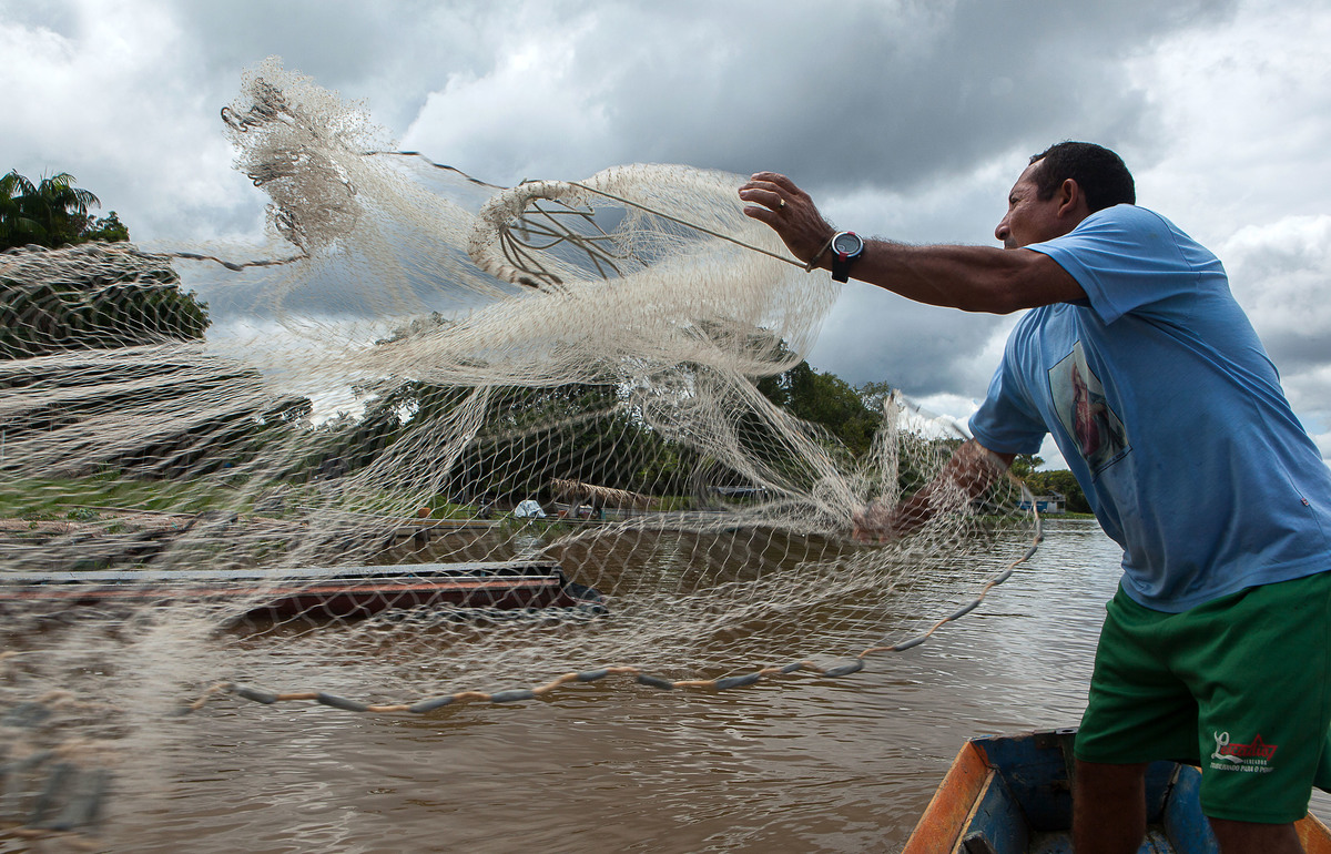 Miga joga a rede para pegar peixes maiores, como arraias, que custam mais caro. Foto: Lilo Clareto/Reporter Brasil