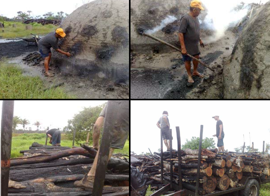 Trabalhadores resgatados produziam carvão sem nenhum equipamento de proteção, em condições degradantes. Fotos: Divulgação/MTE