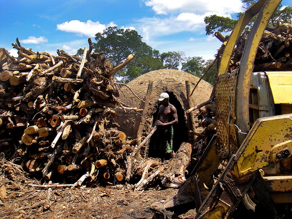 Carvoeiro no Tocantins trabalha em forno sem nenhum equipamento de proteção. Foto: MTE