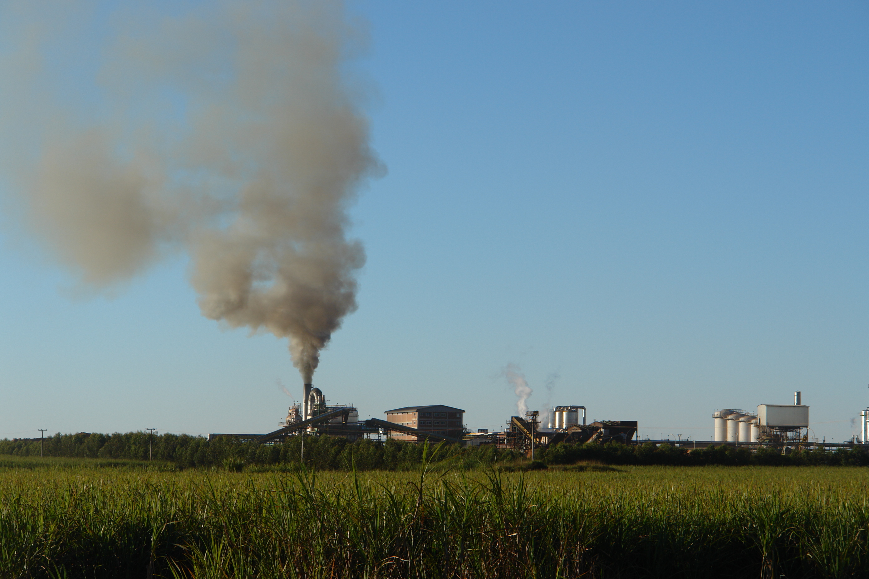 Plantação e usina de processamento de cana no Mato Grosso do Sul. Foto: Verena Glass