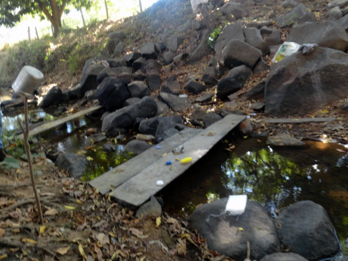 Riacho onde os trabalhadores se banhavam (Foto: Divulgação / MTE)