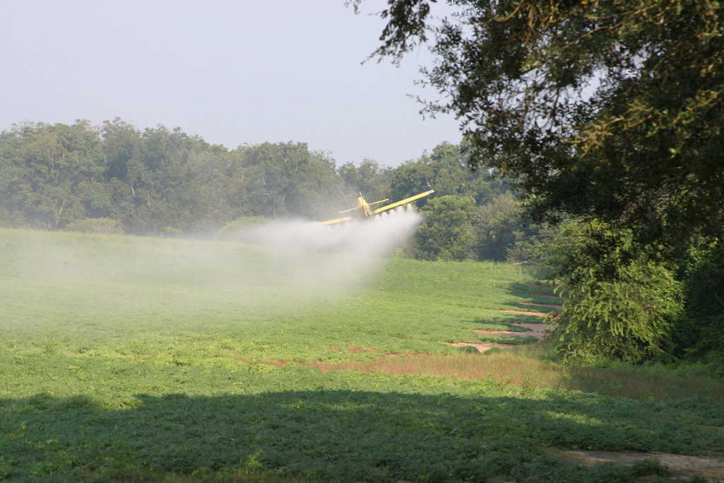 Avião despejando pesticidas em plantação (Foto: Jay Oliver/UGA CAES)
