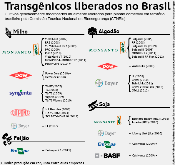 Infográfico: Transgênicos liberados no Brasil