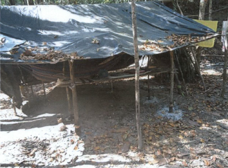 Trabalhadores resgatados viviam em acampamento improvisado no meio da mata. Fotos: Divulgação/MTE