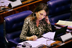 Senadora Kátia Abreu em plenário. Foto: Divulgação