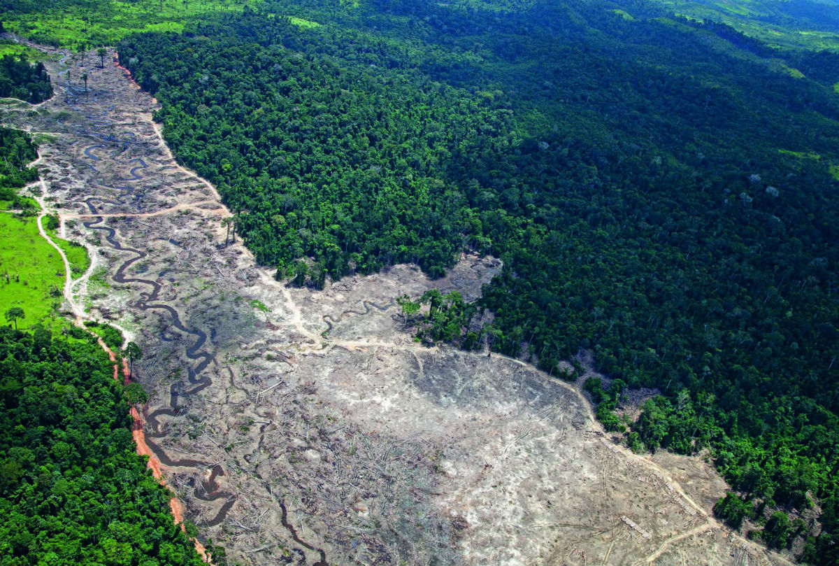 Desmatamento no entorno do Rio Xingu, em Belo Monte. Foto: André Villas Boas/ISA