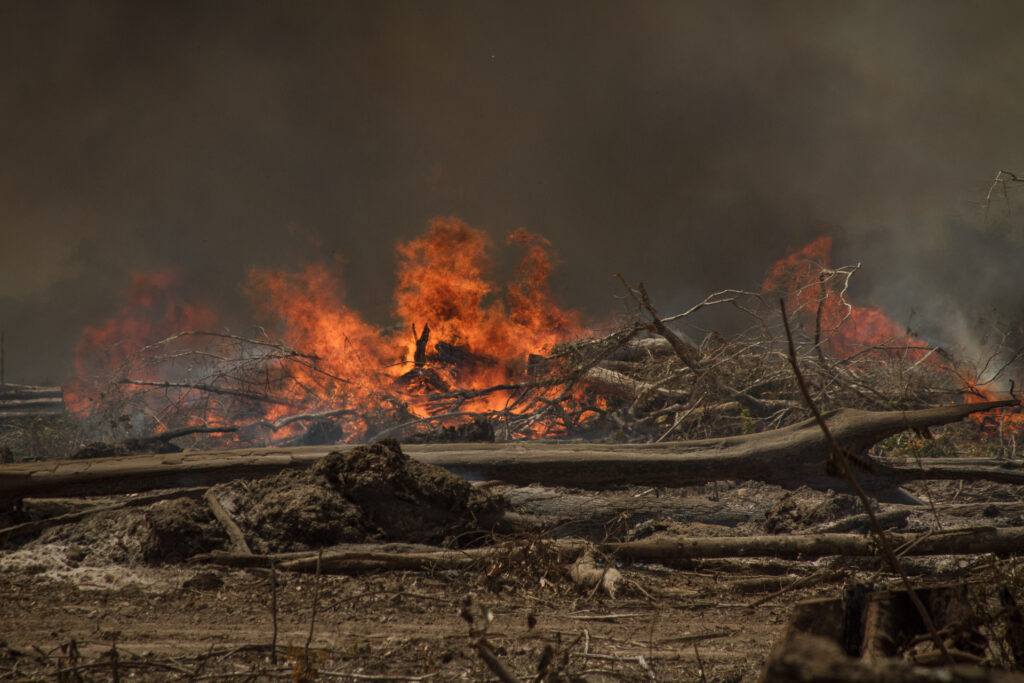 Belo Monte não tem autorização para queimar toras de madeira, mas a prática continua (Foto: Marcio Isensee e Sá)
