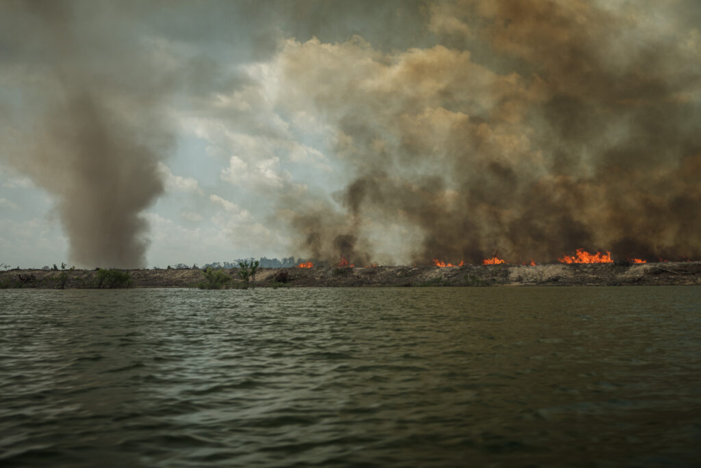 Ilhas do Xingu arderam em chamas enquanto Belo Monte limpava as áreas que serão alagadas. (Foto: Marcio Isensee e Sá)