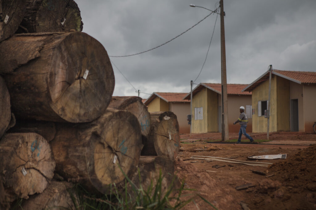Árvores derrubadas para construção de reassentamento de Belo Monte estão abandonadas. (Foto: Marcio Isensee e Sá)