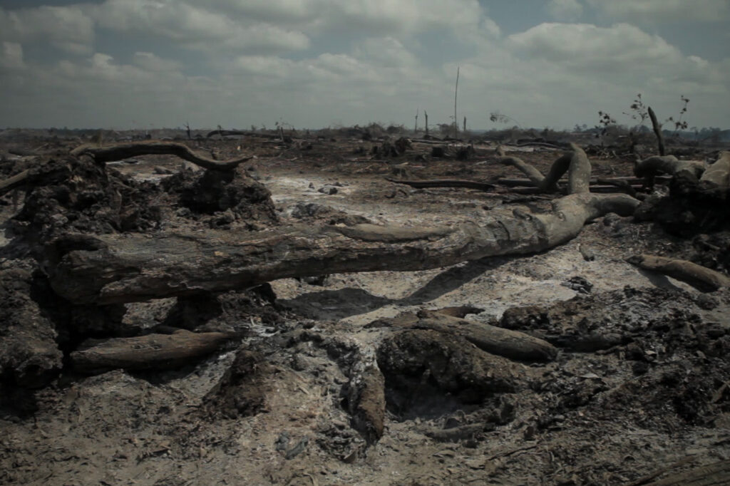 Belo Monte não tem autorização para queimar toras de madeira, mas a prática continua (Foto: Marcio Isensee e Sá)