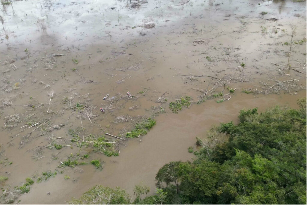 Teles Pires inundou lago sem retirar árvores, que apodreceram e mataram peixes. (Foto: Ibama)