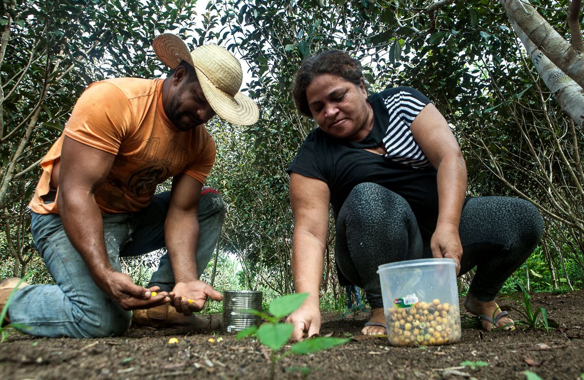 Daniel e Osvalinda no sítio que levaram 14 anos para construir no assentamento: plantação de frutas, flores, apiário e galinheiro. Foto: Lilo Clareto/Repórter Brasil