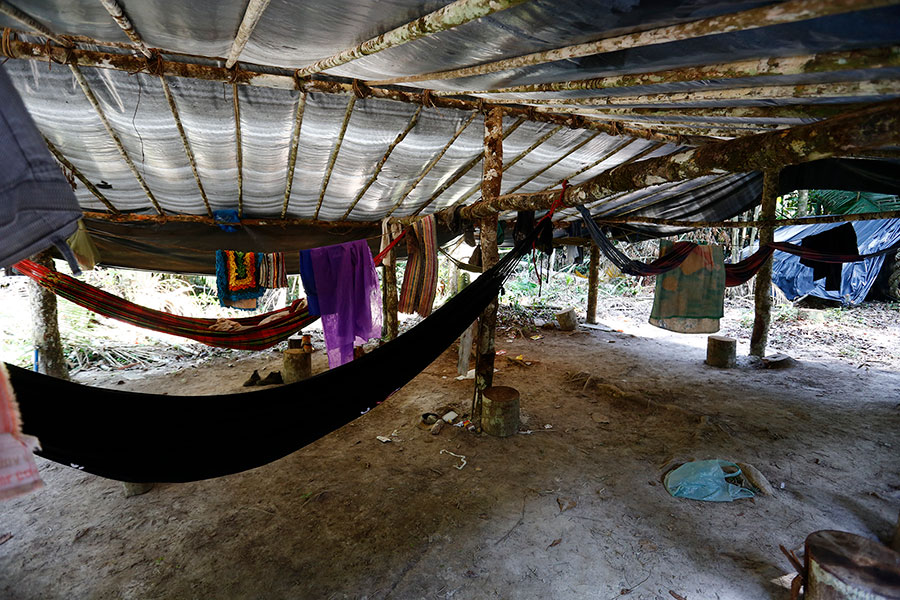 Acampamento madeireiro dentro da Terra Indígena Cachoeira Seca, no oeste Paraense. (Foto: Lunaé Parracho)