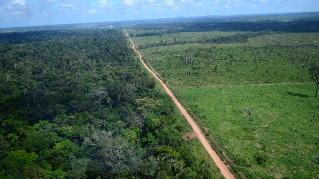 Imagem de área desmatada em Novo Progresso, no Pará. Cerca de 580 mil campos de futebol são derrubados anualmente no Brasil para serem convertidos em pastagem, diz TRASE. (Foto: Ibama)