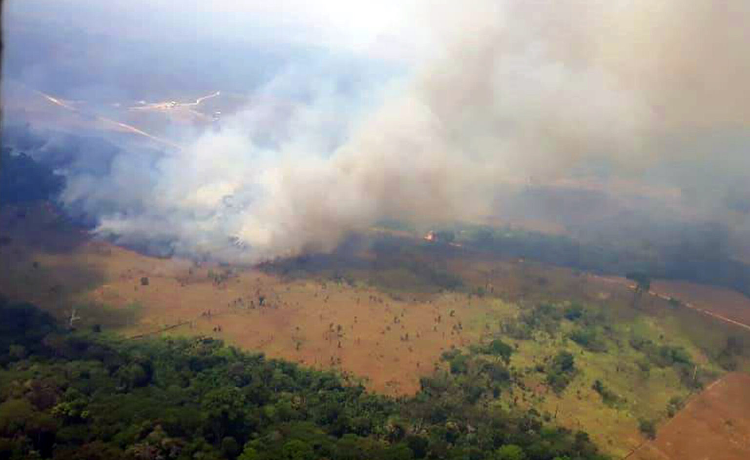 JBS Marfrig And Frigol Buy Cattle From Deforesters In Area Highly jbs-marfrig-and-frigol-buy-cattle-from-deforesters-in-area-highly