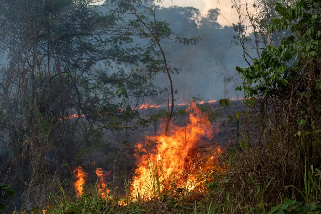 Em agosto de 2019, “Dia do Fogo” registrou 197 focos de incêndio em um fim de semana, em ação coordenada por fazendeiros (Foto: João Laet/Repórter Brasil)
