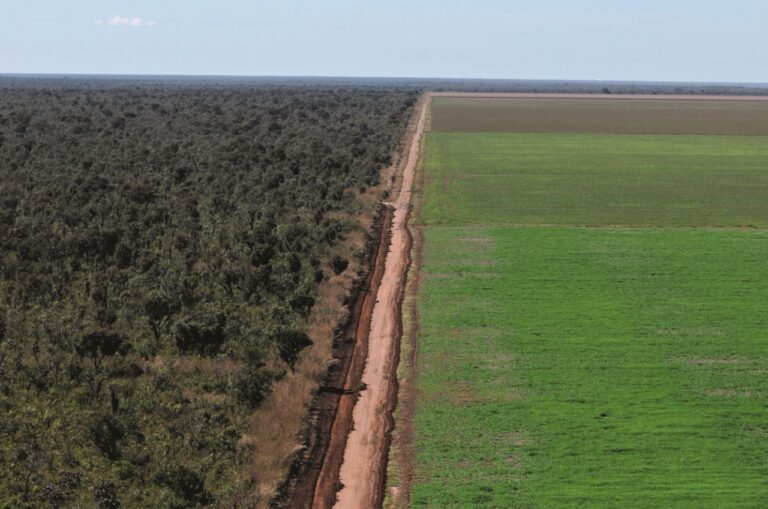 Estrada no Piauí divide monocultura de soja e vegetação do Cerrado (Foto: Adriano Gambarini/WWF Brasil)