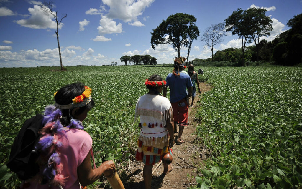 Mato Grosso do Sul concentra 7% da população indígena do país, mas responde por 56% dos indígenas resgatados da escravidão contemporânea (Foto: Marcello Casal Jr./Agência Brasil)