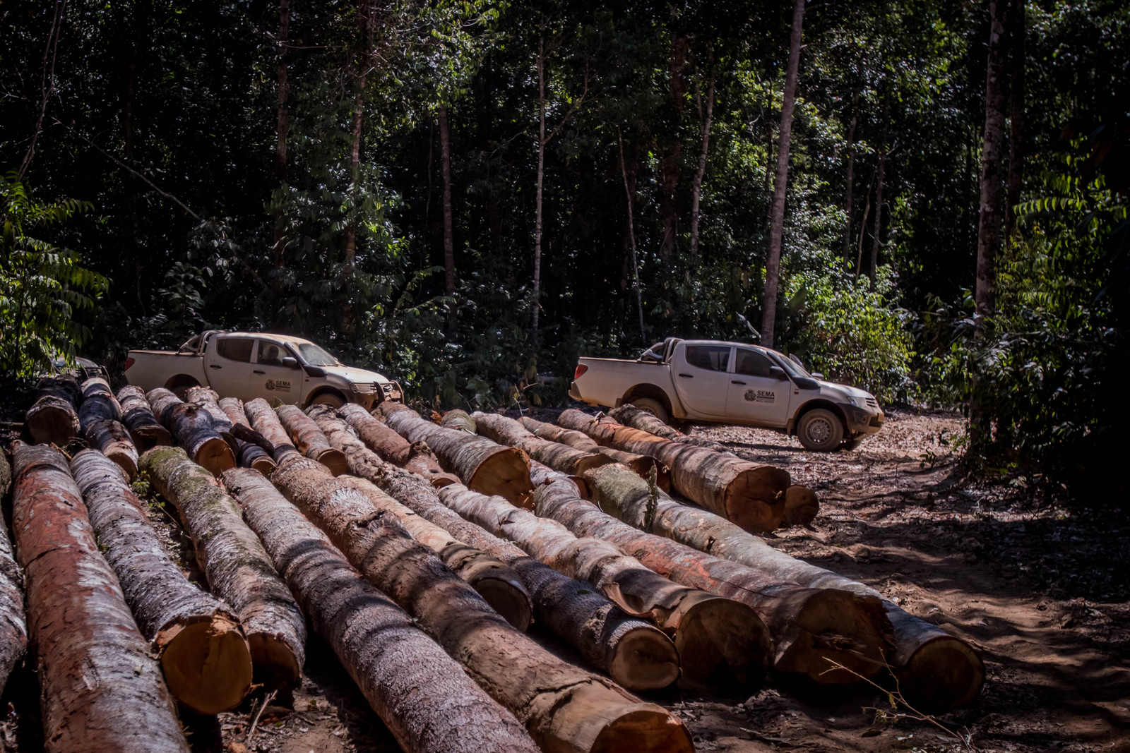 Degradação avança no Mato Grosso e faz meta de desmatamento ilegal zero  fracassar