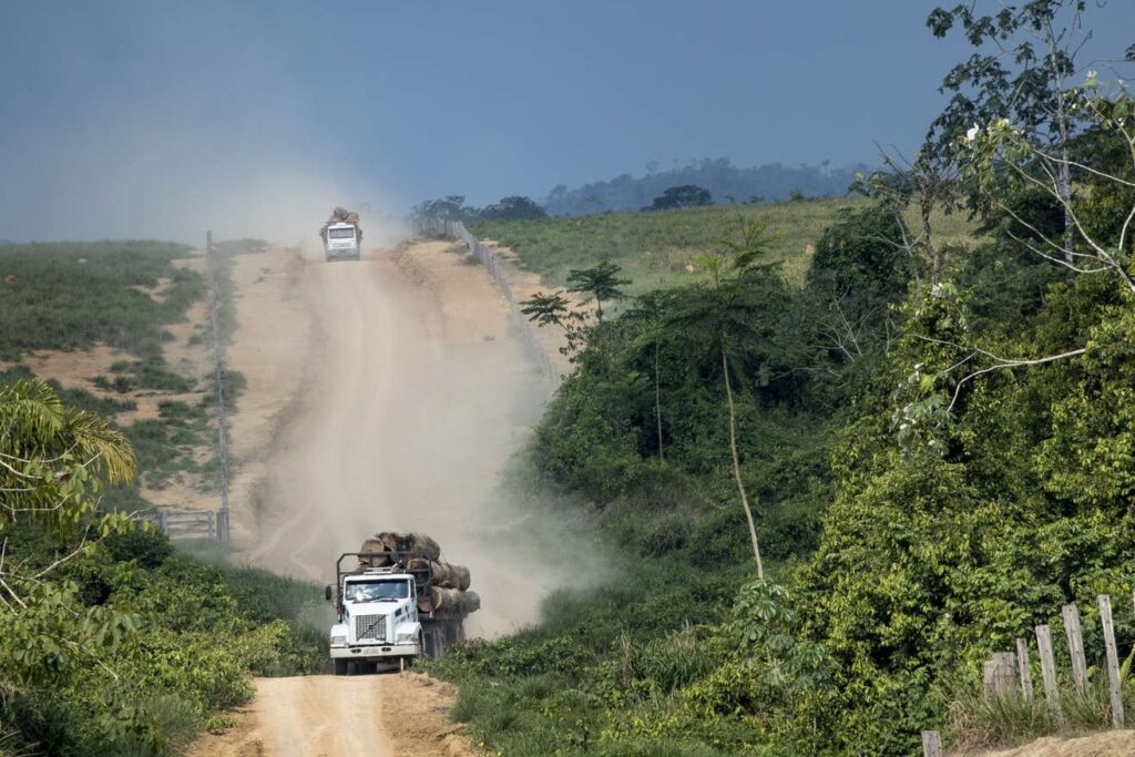 Caminhões com toras ilegais de madeira na saída do assentamento Terra Nossa (Foto: Fernando Martinho/Repórter Brasil)