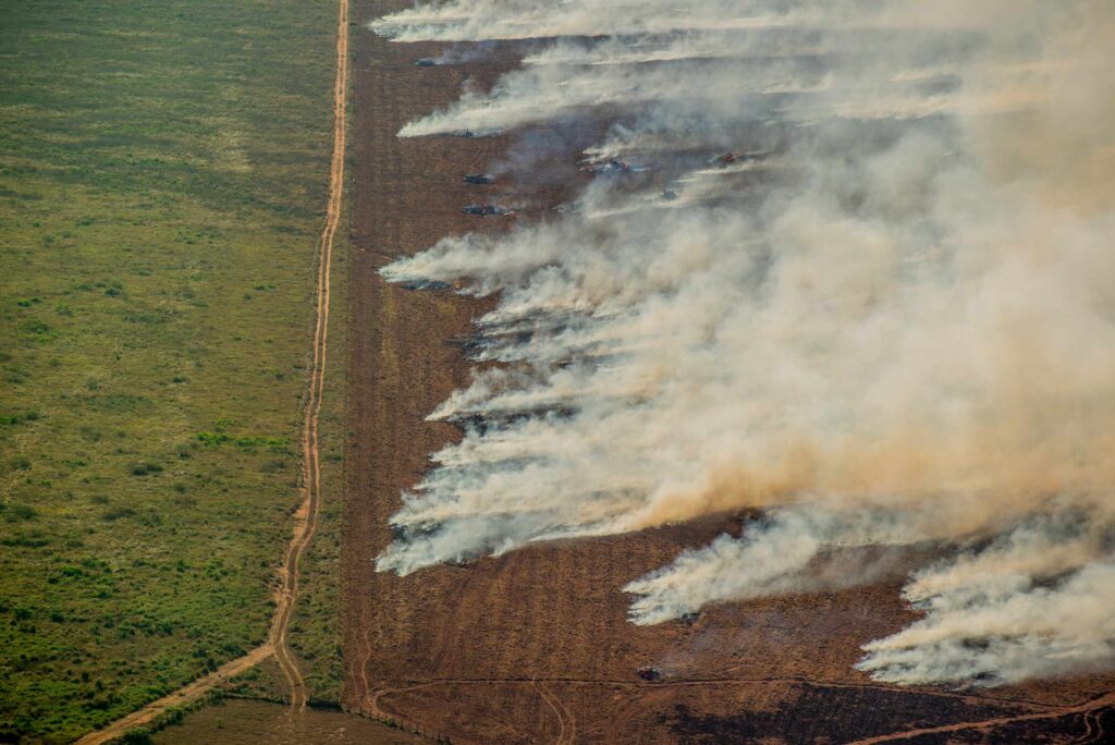 Incêndio em plantação de soja no Mato Grosso