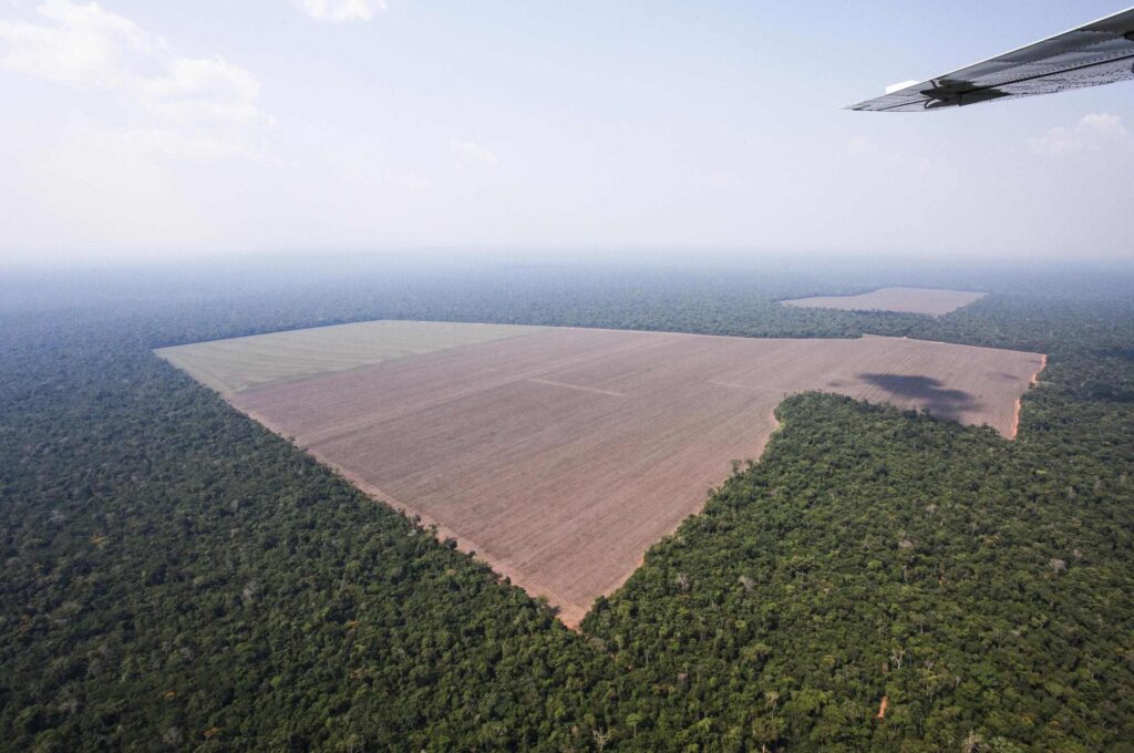 Desmatamento no Mato Grosso