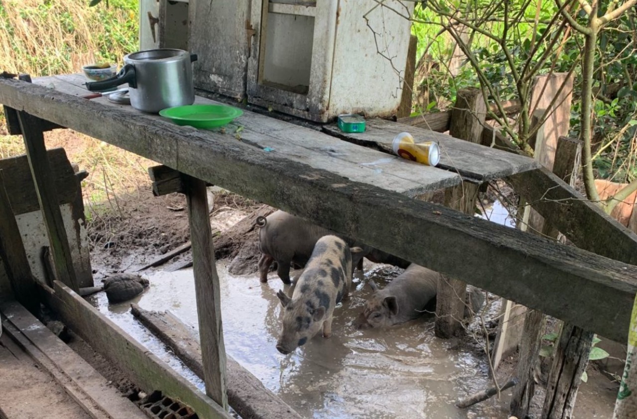 Tá morto o peão': fazenda é flagrada com trabalho escravo após