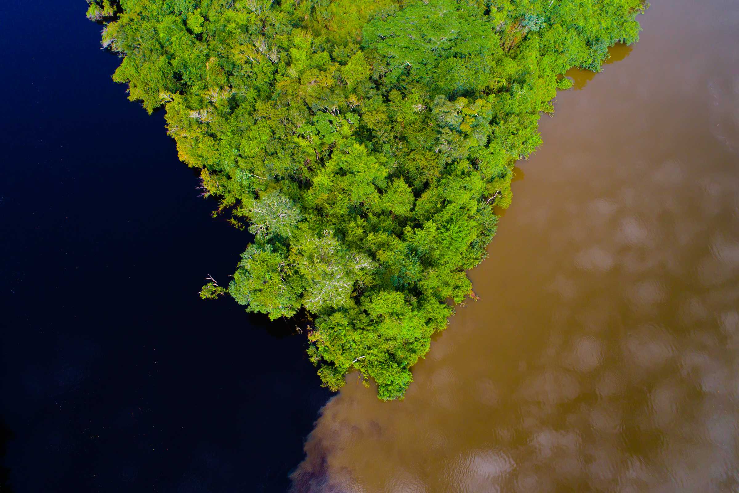 Justiça do Mato Grosso manda anular reserva ambiental na Amazônia após pedido de desmatadores