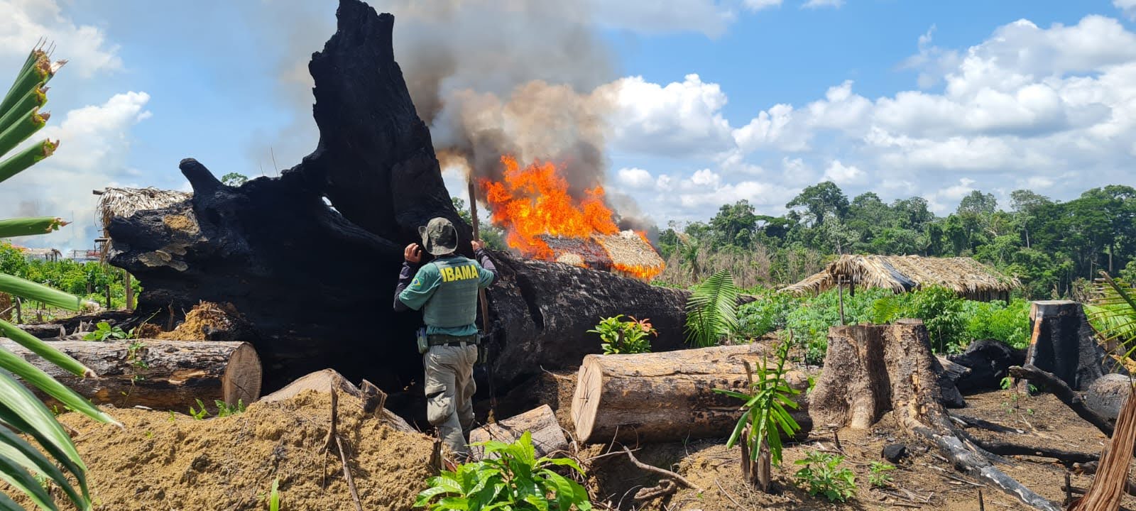 Organização criminosa comandava grilagem em terra de indígenas isolados no Pará, aponta investigação