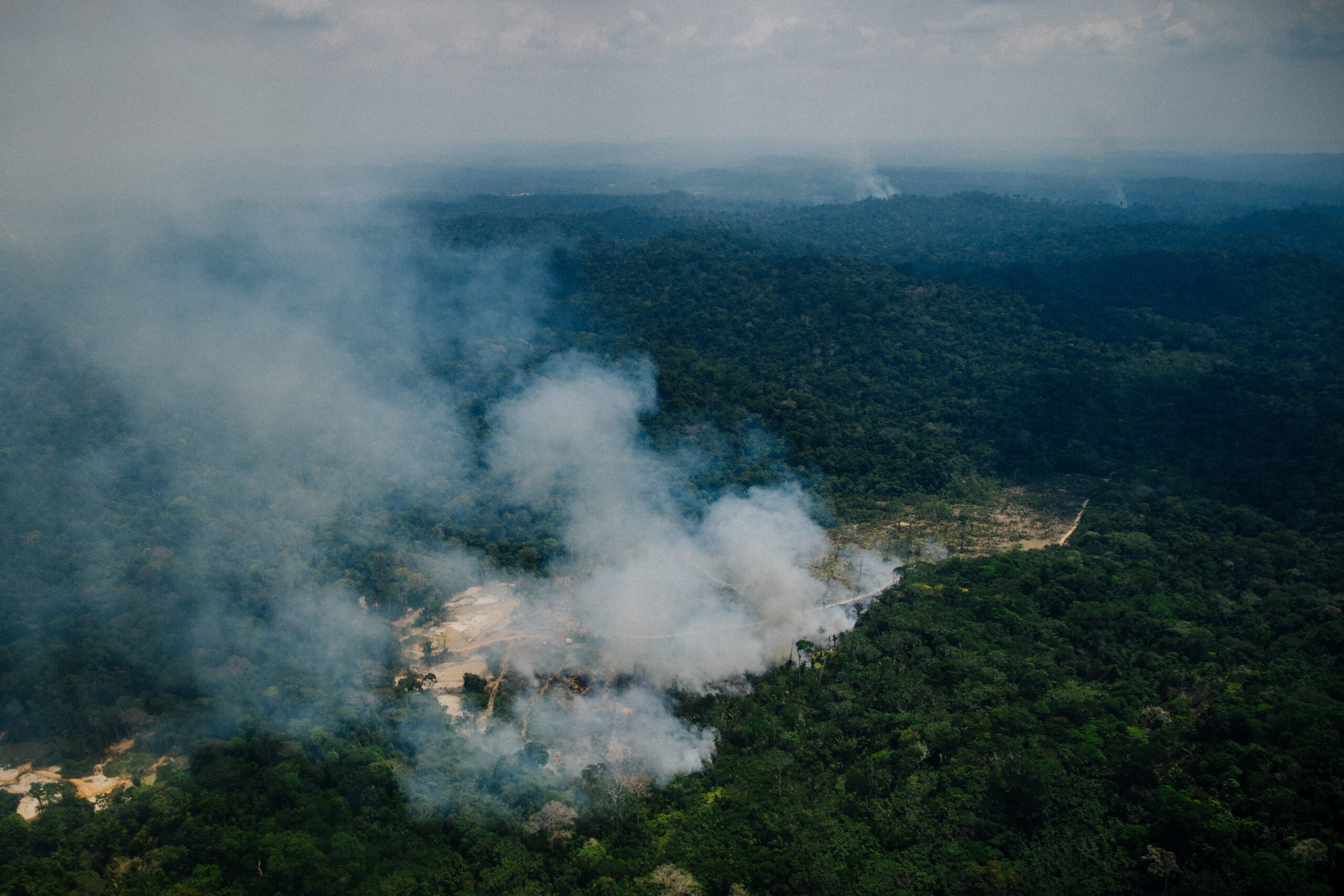 Queimada na APA do Tapajós, unidade de conservação recordista em desmatamento em 2022 na Amazônia (Foto: Christian Braga/ClimaInfo/SET22)