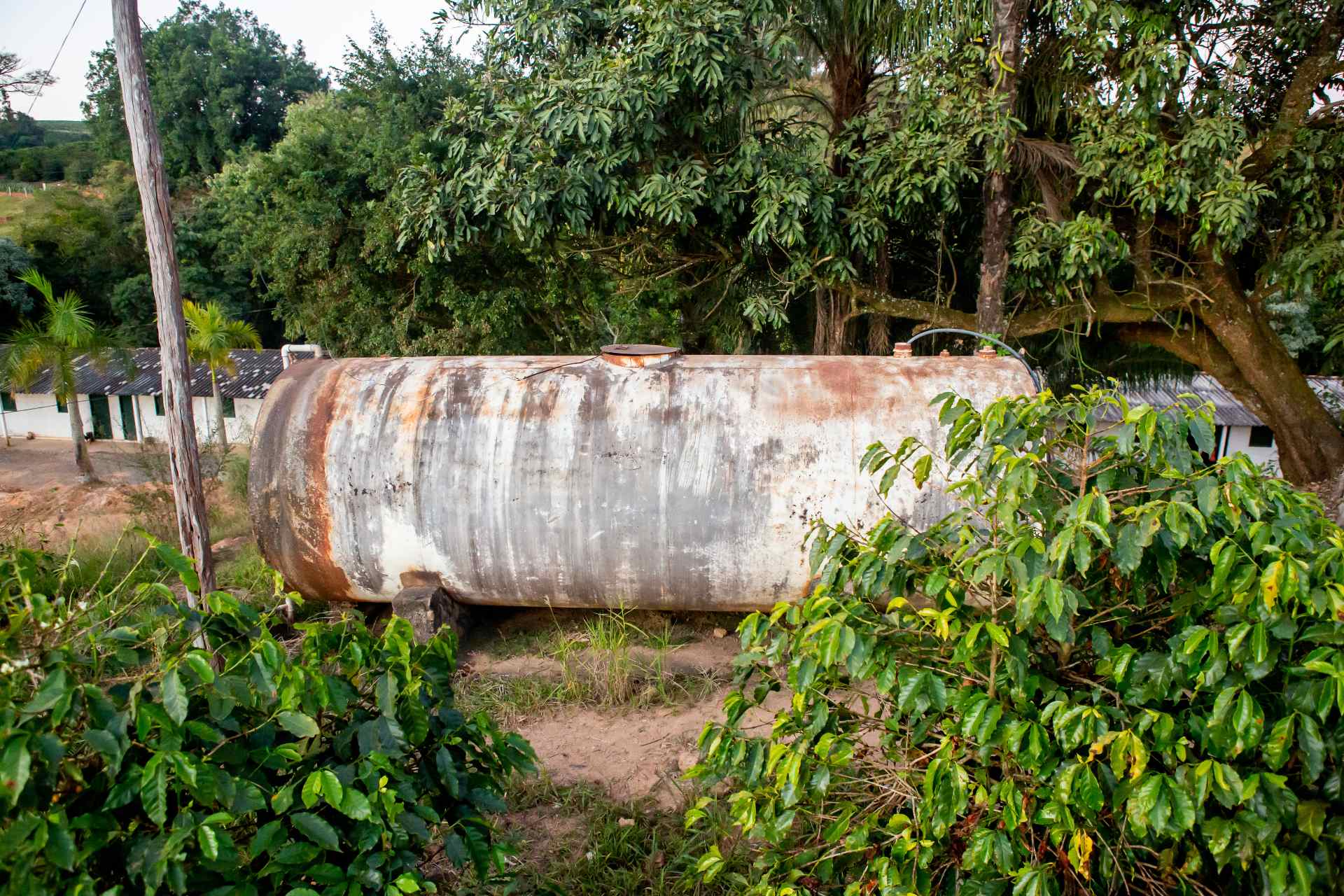 Assim como baianos, argentinos eram vítimas de trabalho escravo em fazenda  do RS