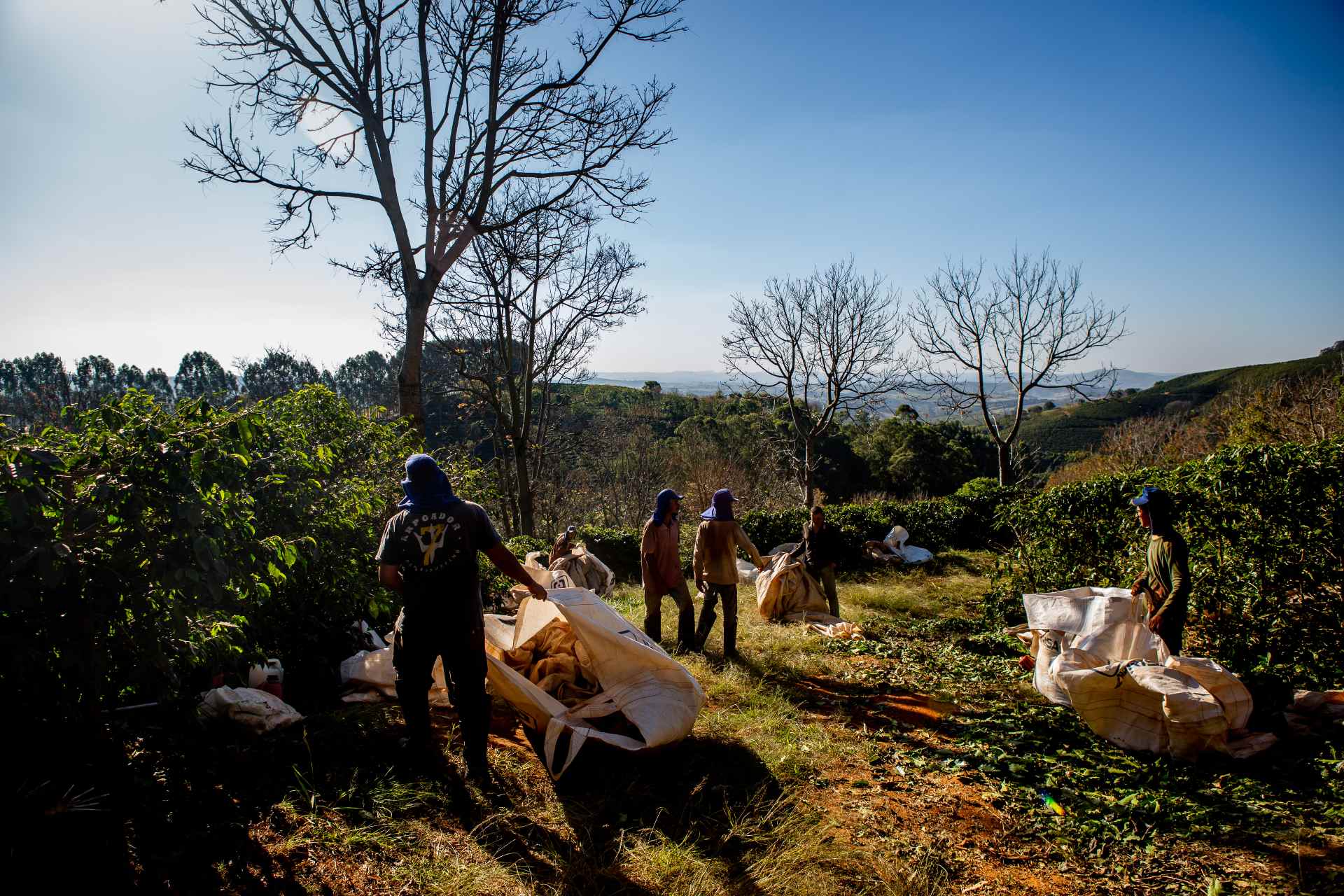 Assim como baianos, argentinos eram vítimas de trabalho escravo em fazenda  do RS