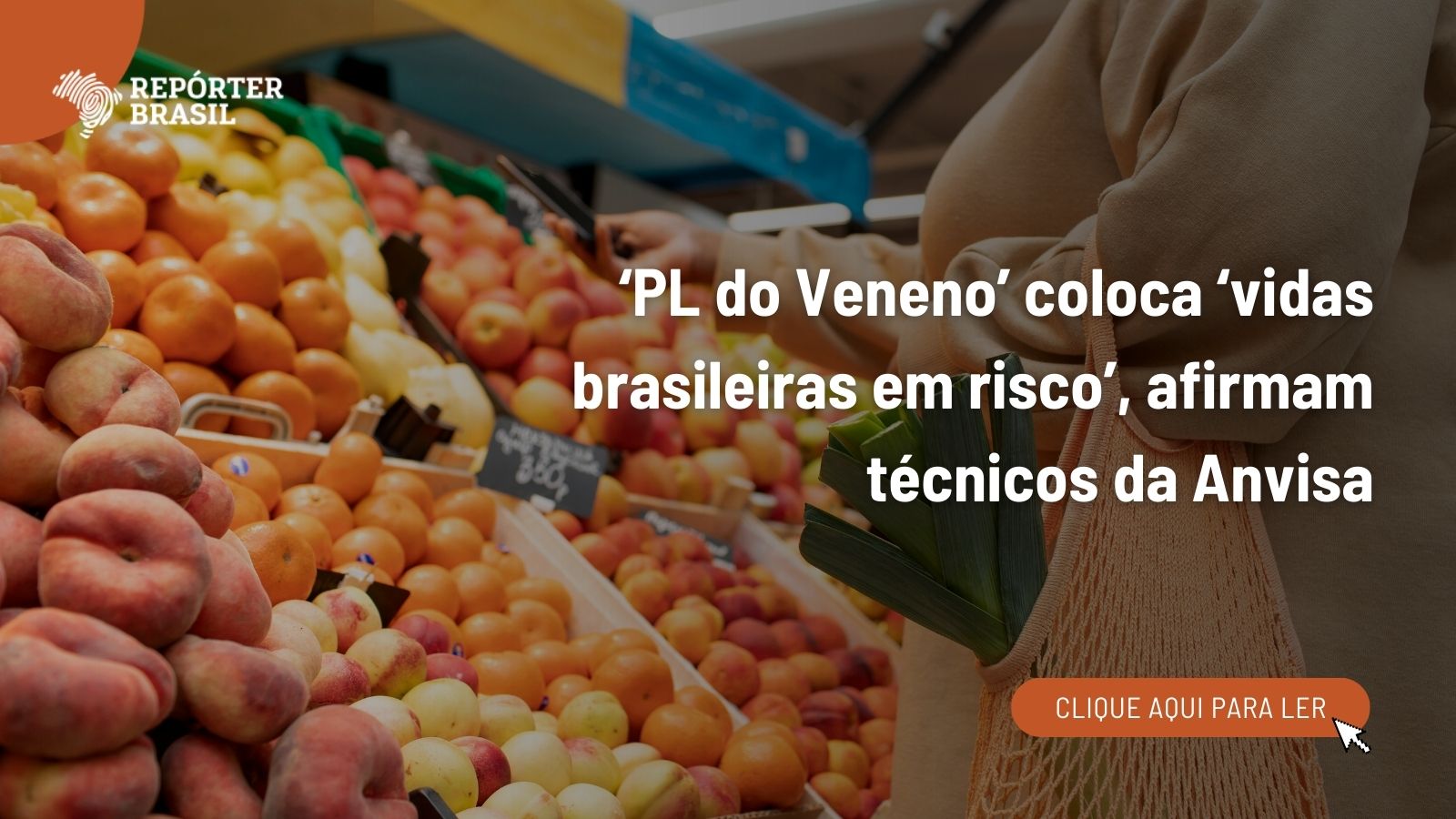 ‘PL do Veneno’ coloca ‘vidas brasileiras em risco’, afirmam técnicos da Anvisa