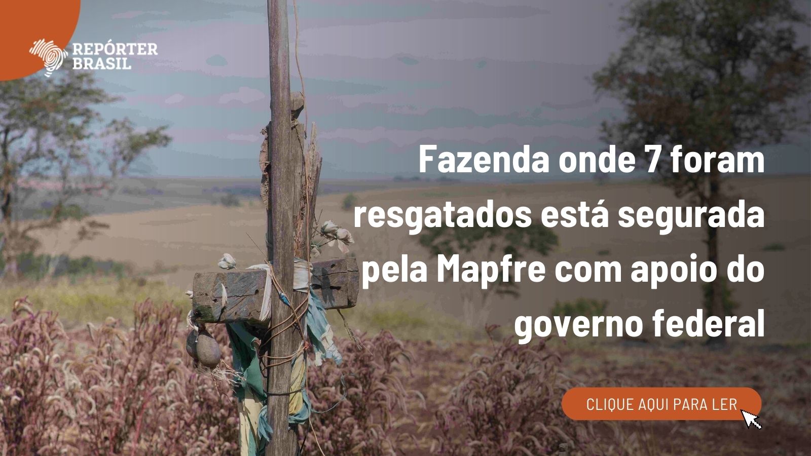 Fazenda onde 7 foram resgatados está segurada pela Mapfre com apoio do governo federal