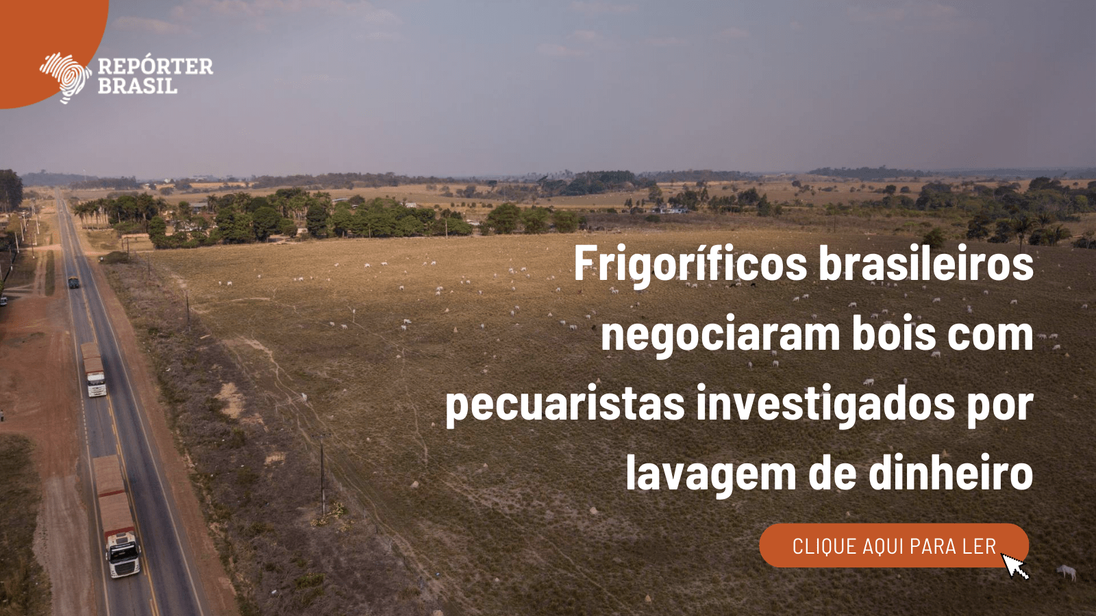 Frigoríficos brasileiros negociaram bois com pecuaristas investigados por lavagem de dinheiro