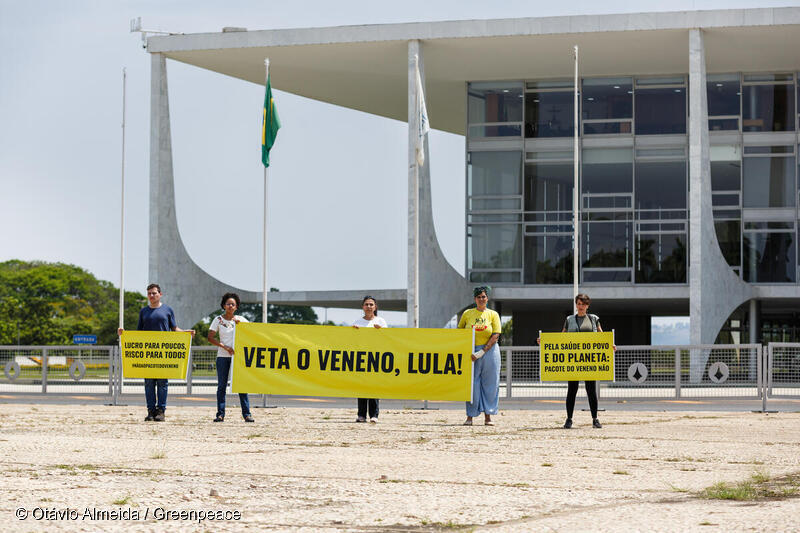 Em Dubai, Brasil defenderá proposta de remunerar a “floresta em pé” —  Planalto