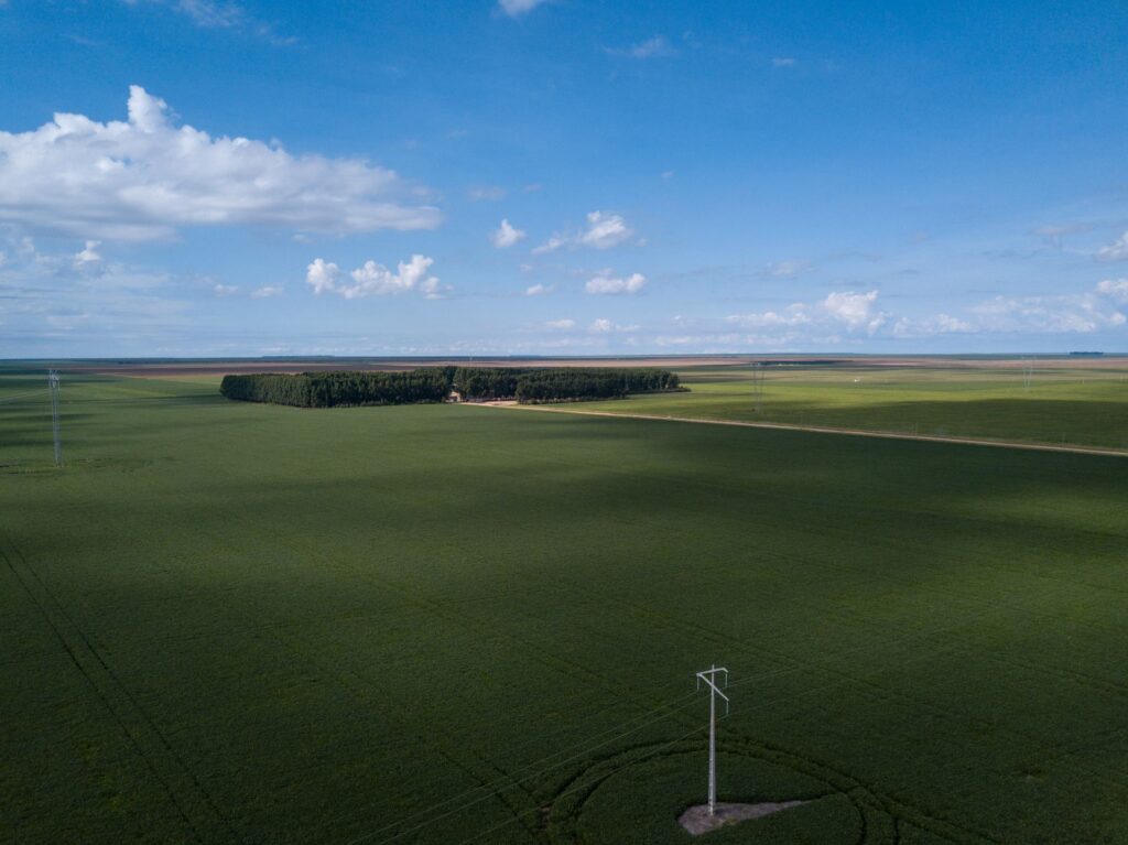 Fornecedor da Cargill com histórico de autuações ambientais obteve crédito privado no mercado de capitais por meio da emissão de um Certificado de Recebíveis do Agronegócio. Na foto, área cultivada com soja no Cerrado (Foto: Fernando Martinho/Repórter Brasil)