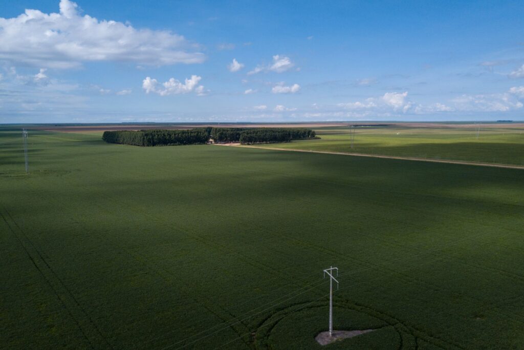 Fornecedor da Cargill com histórico de autuações ambientais obteve crédito privado no mercado de capitais por meio da emissão de um Certificado de Recebíveis do Agronegócio. Na foto, área cultivada com soja no Cerrado (Foto: Fernando Martinho/Repórter Brasil)
