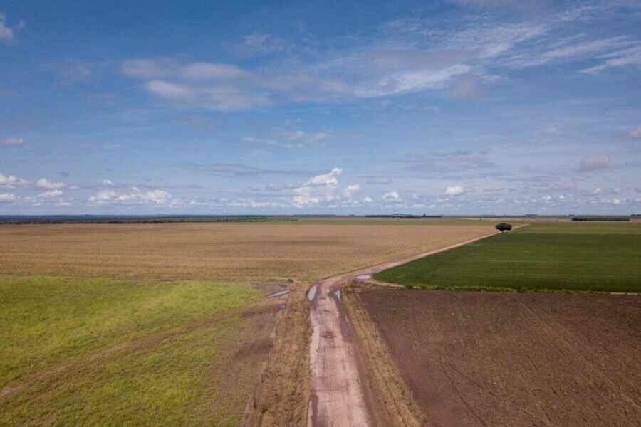 Programa do governo federal paga parte dos contratos de seguros agrícolas, mas não há checagem sobre regularidade socioambiental das propriedades (Foto: Fernando Martinho/Repórter Brasil)