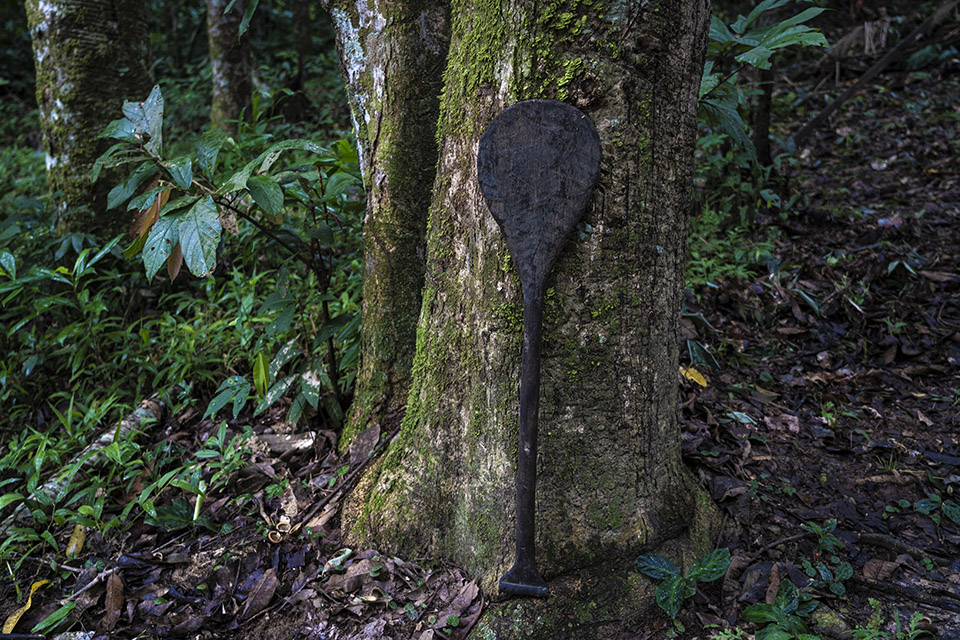 Ribeirinhos tiram seu sustento da roça e do extrativismo de produtos como castanha e açaí. (Foto: Fernando Martinho/Repórter Brasil)
