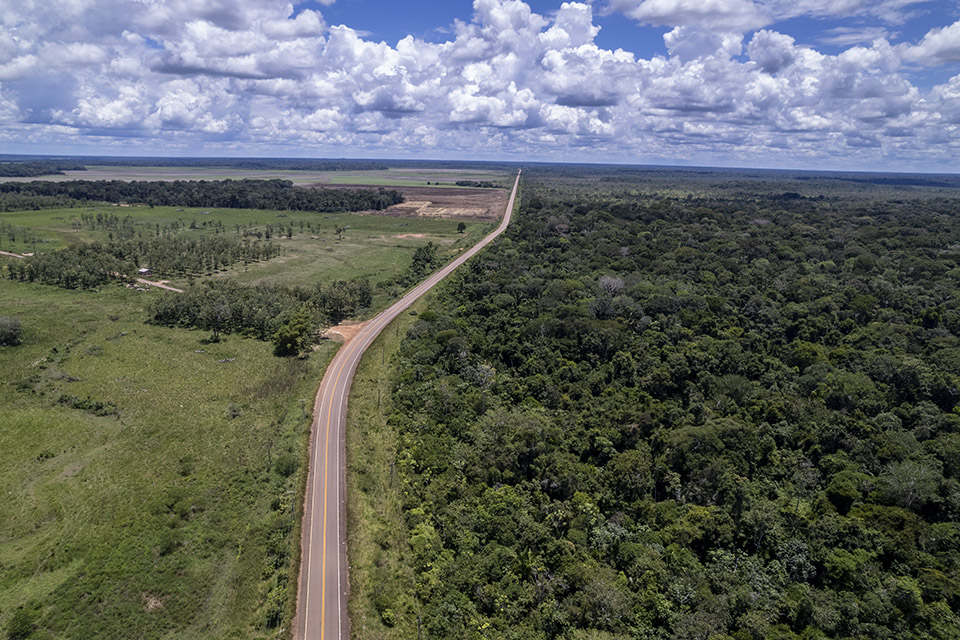 Avanço da extração de madeira e da pecuária impulsiona desmatamento no sul do Amazonas. (Foto: Fernando Martinho/Repórter Brasil)