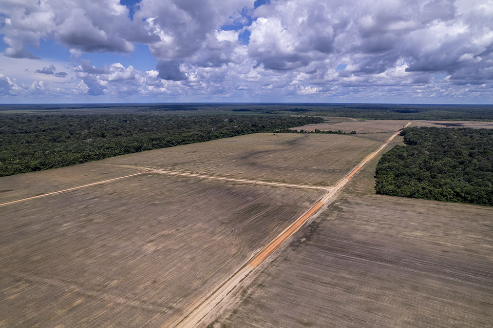 Casos de conflitos por terra identificados pela CPT se concentram nas áreas de expansão do agronegócio
(Foto: Fernando Martinho/Repórter Brasil)