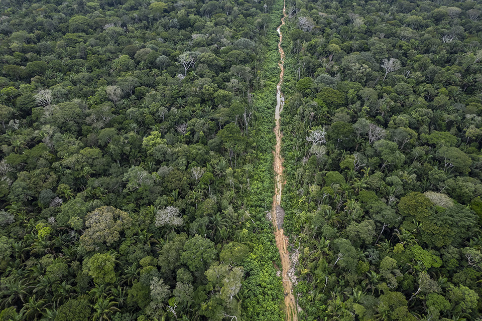 Entre 2021 e 2022, 5,5 mil hectares foram desmatados ao longo da “Linha de 17”, ramal que corta dois assentamentos. (Foto: Fernando Martinho/Repórter Brasil)