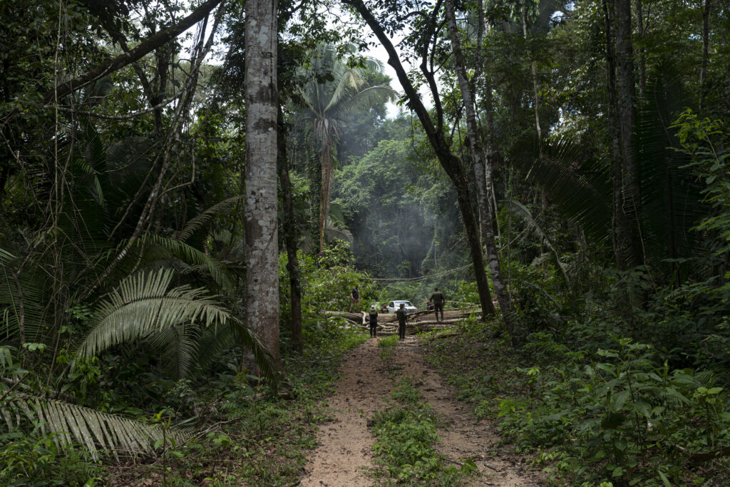 Sob ameaça, Parque Estadual de Guajará-Mirim é lar de espécies em extinção e pode ser área habitada por indígenas isolados (Foto: Alessandro Falco/Repórter Brasil)