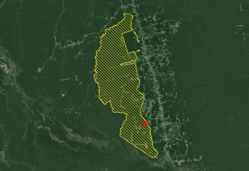Fazenda Ferradura está localizada muito próxima dos limites da Flona do Jamanxim (Imagem: Qgis, Google Satellite, CNFP 2022)