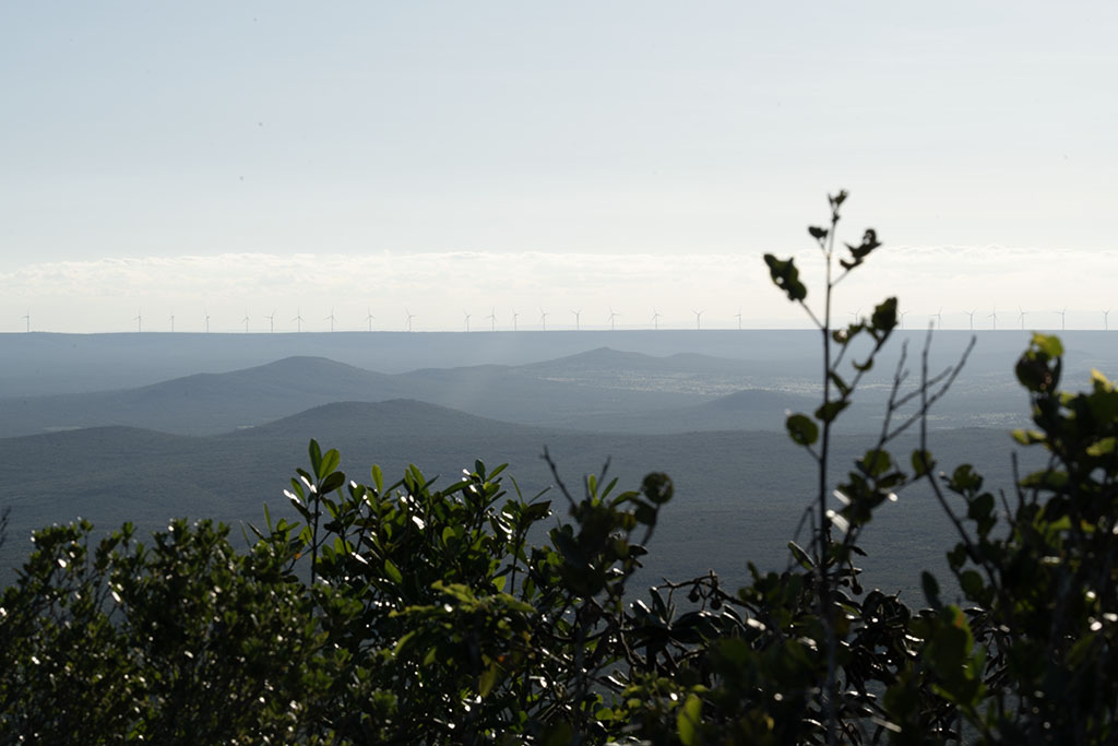 As serras das cidades de Jaguarari (BA) e Campo Formoso (BA) estão em áreas da Caatinga prioritárias para conservação, segundo o Ministério do Meio Ambiente (Foto: Mariana Greif/Repórter Brasil)