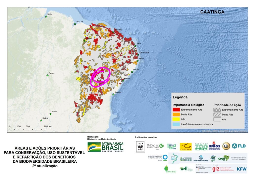 Áreas prioritárias para a conservação no bioma Caatinga. Em destaque, a mancha em que estão incluídos os municípios de Jaguarari e Campo Formoso, localizados integralmente em áreas de importância biológica e prioridade de ação extremamente altas.